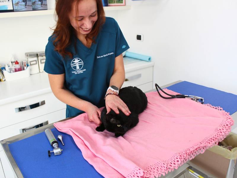 visita veterinaria cane gatto malnate