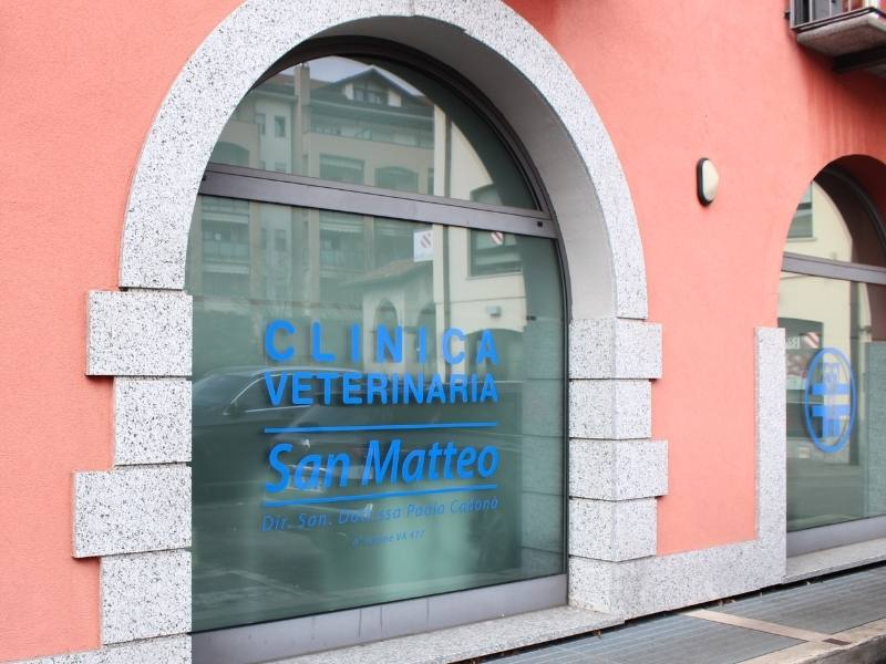 ambulatorio veterinario malnate clinica san matteo