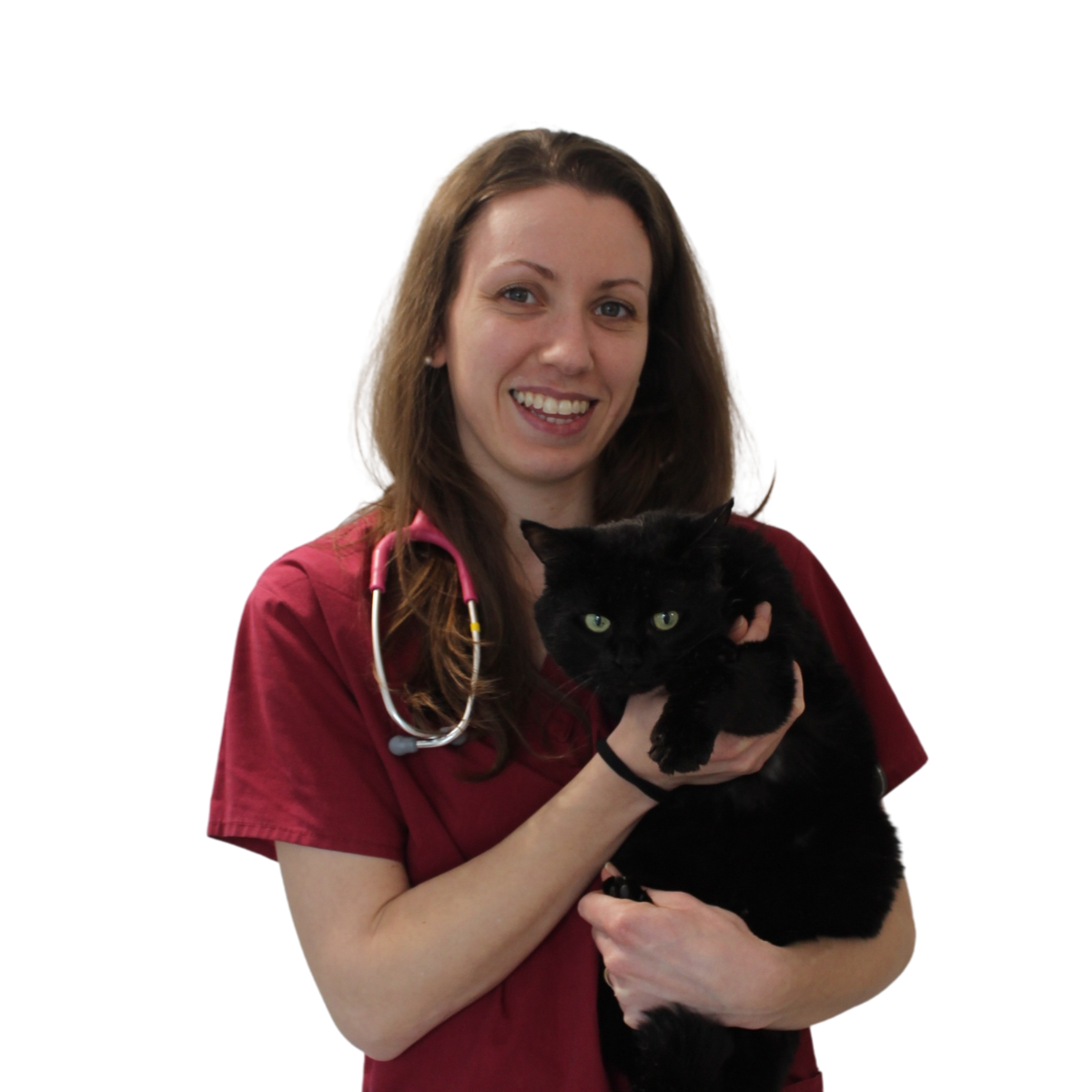 dr.ssa clarissa pelizzola veterinario malnate