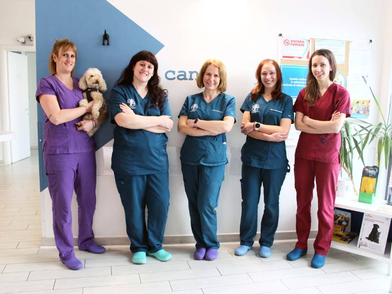 clinica veterinaria san matteo a Malnate