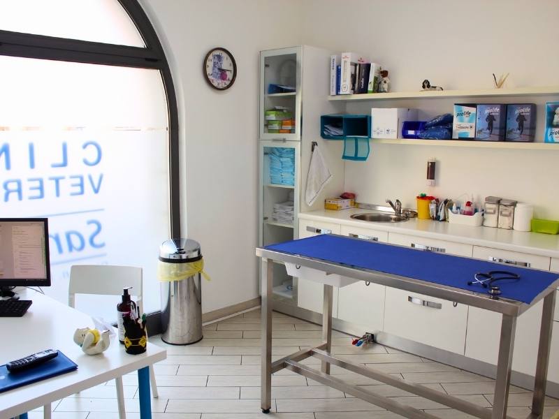 ambulatorio veterinario clinica san matteo
