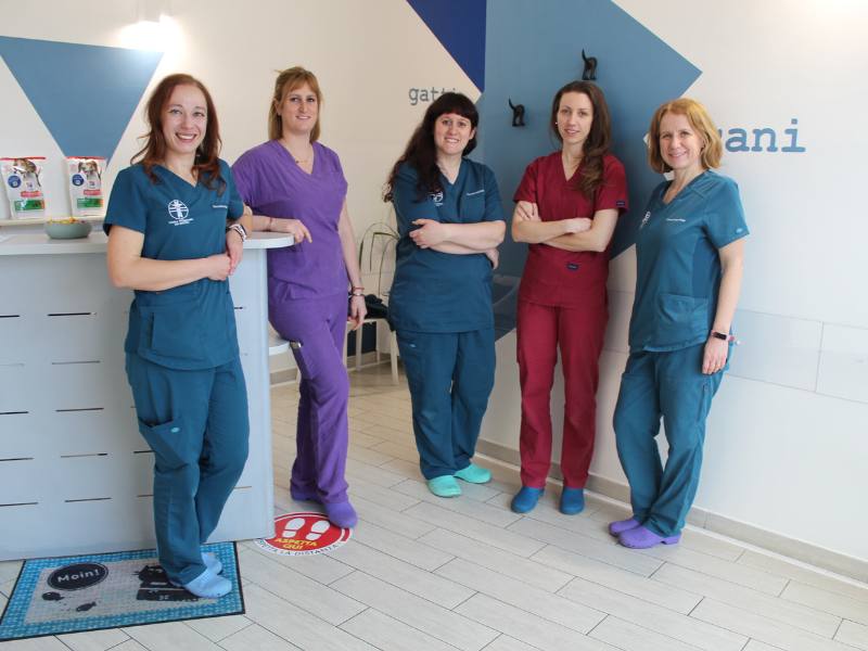 team veterinari clinica veterinaria san matteo