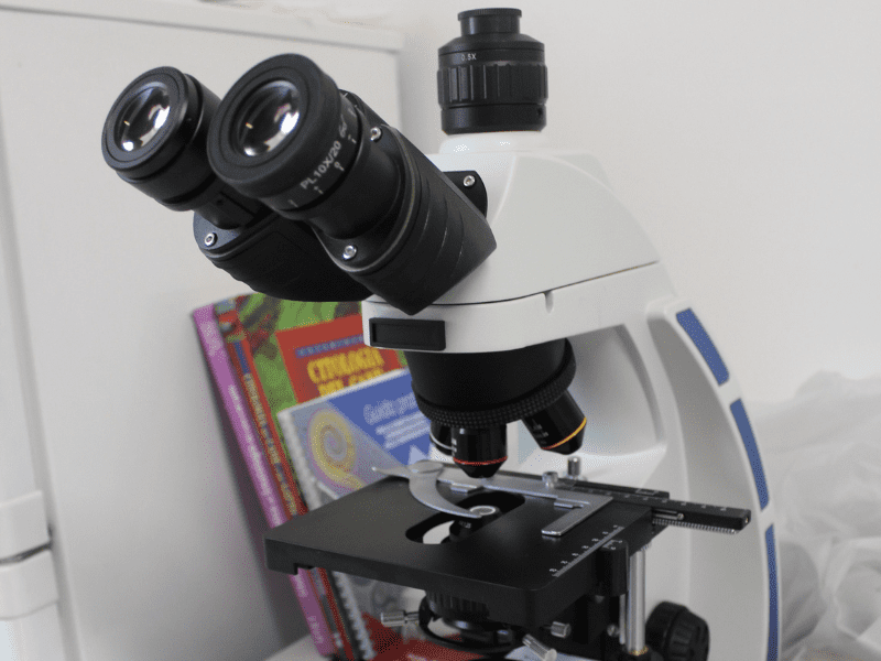 laboratorio analisi cani e gatti clinica veterinaria san matteo