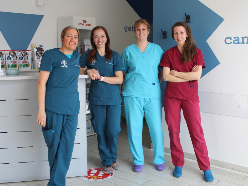 veterinari malnate dr.ssa paola cadona