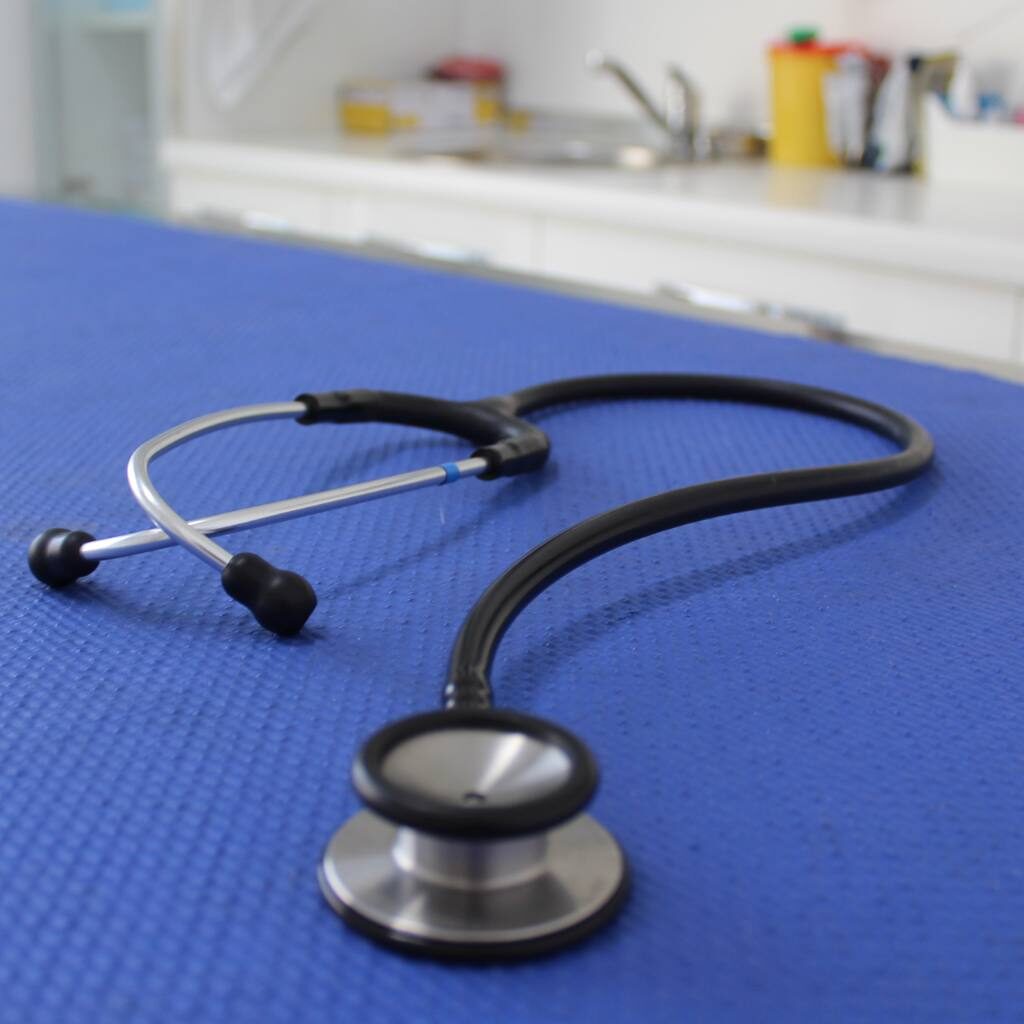 veterinario visita specialistica malnate